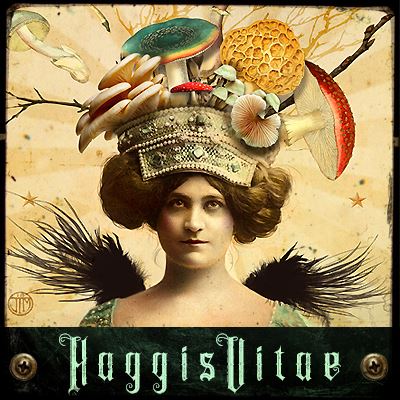 HaggisVitae Studios