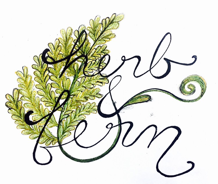 Herb and Fern