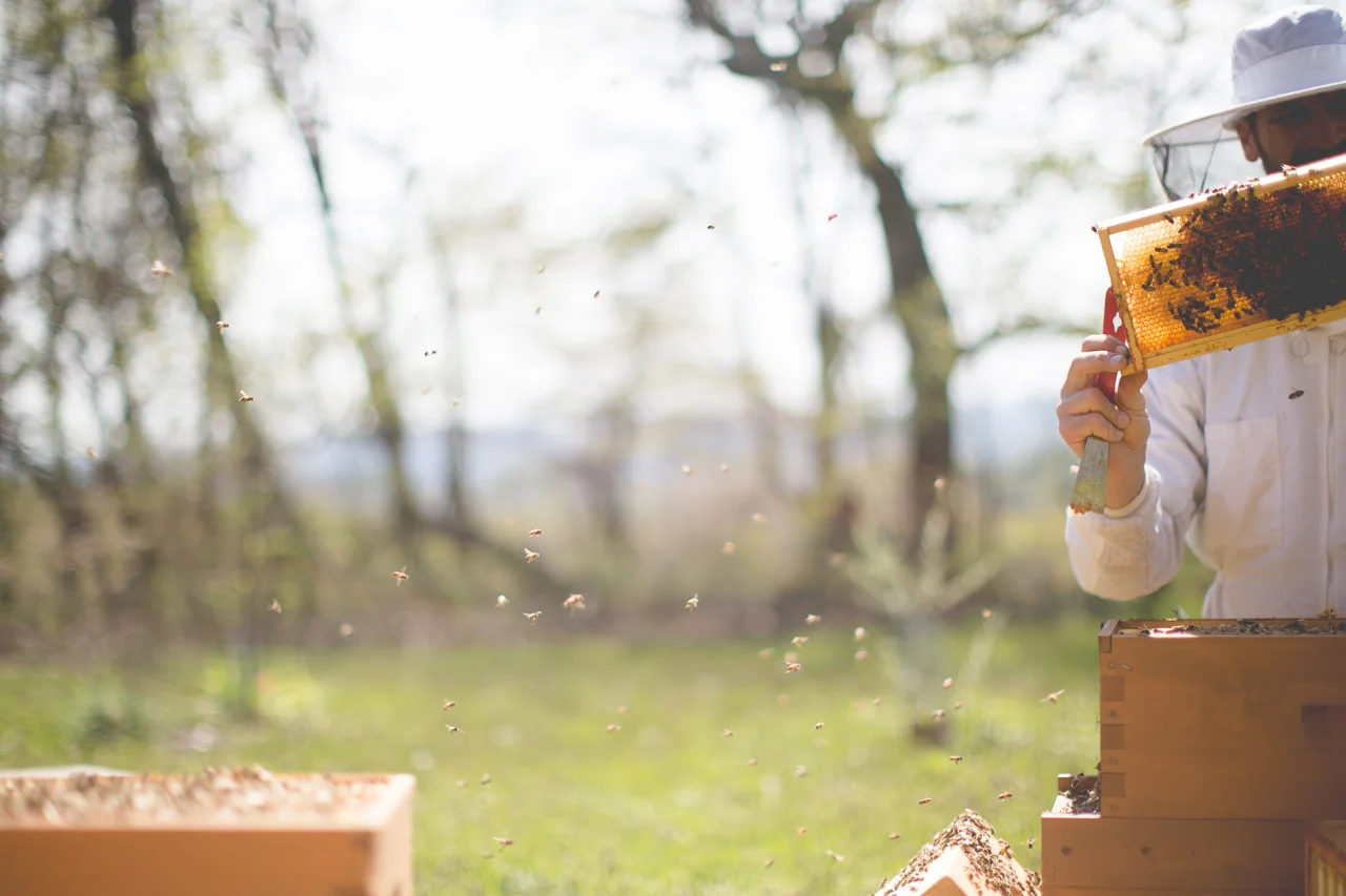 QFarms Spring shoot-53.jpg