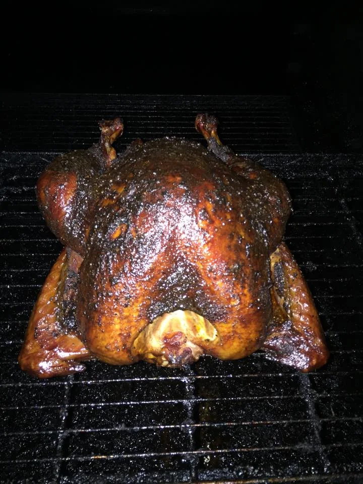 Turkey tit.jpg