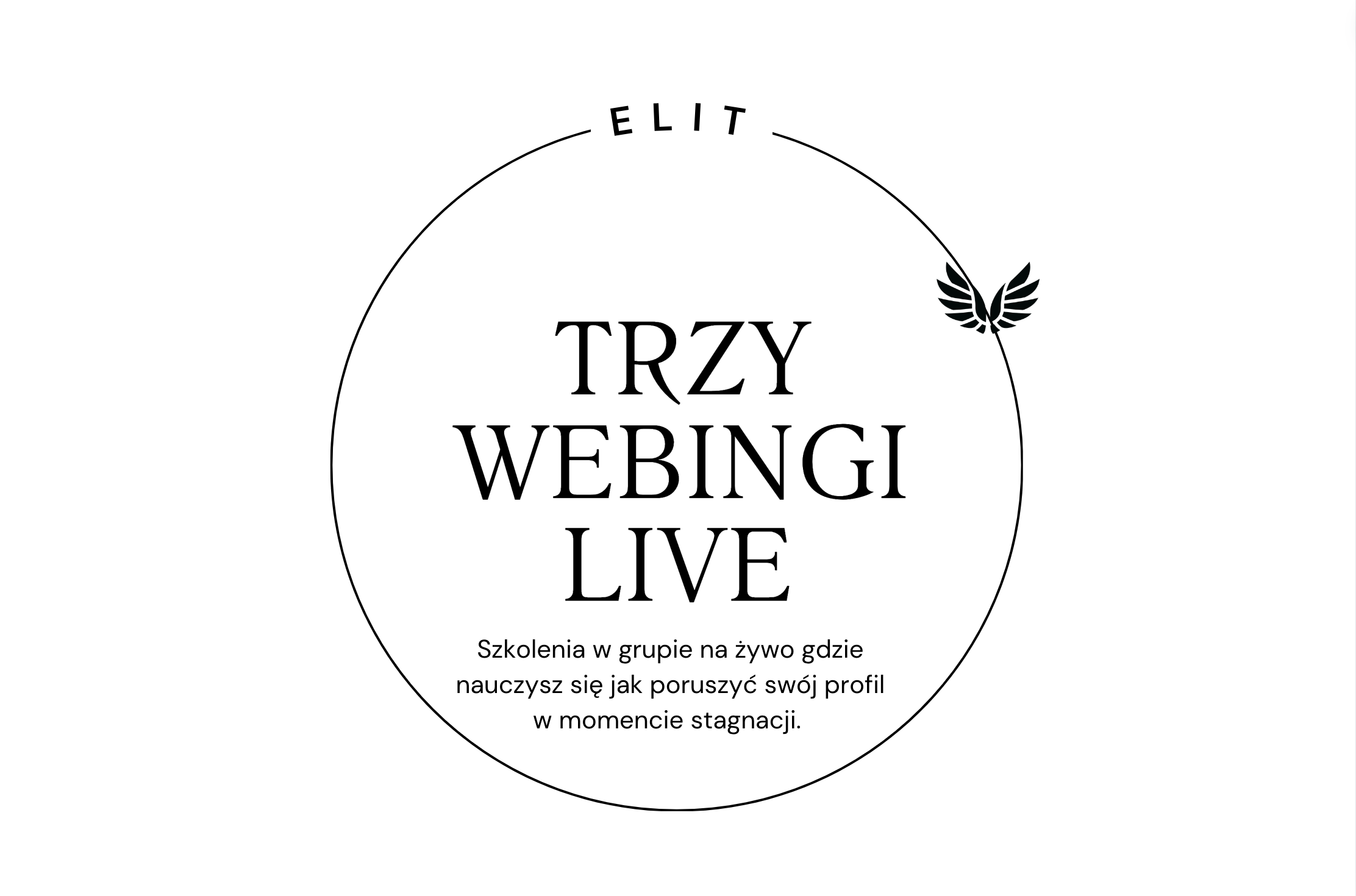 Zrzut ekranu 2024-05-30 o 1.31.37 PM.png