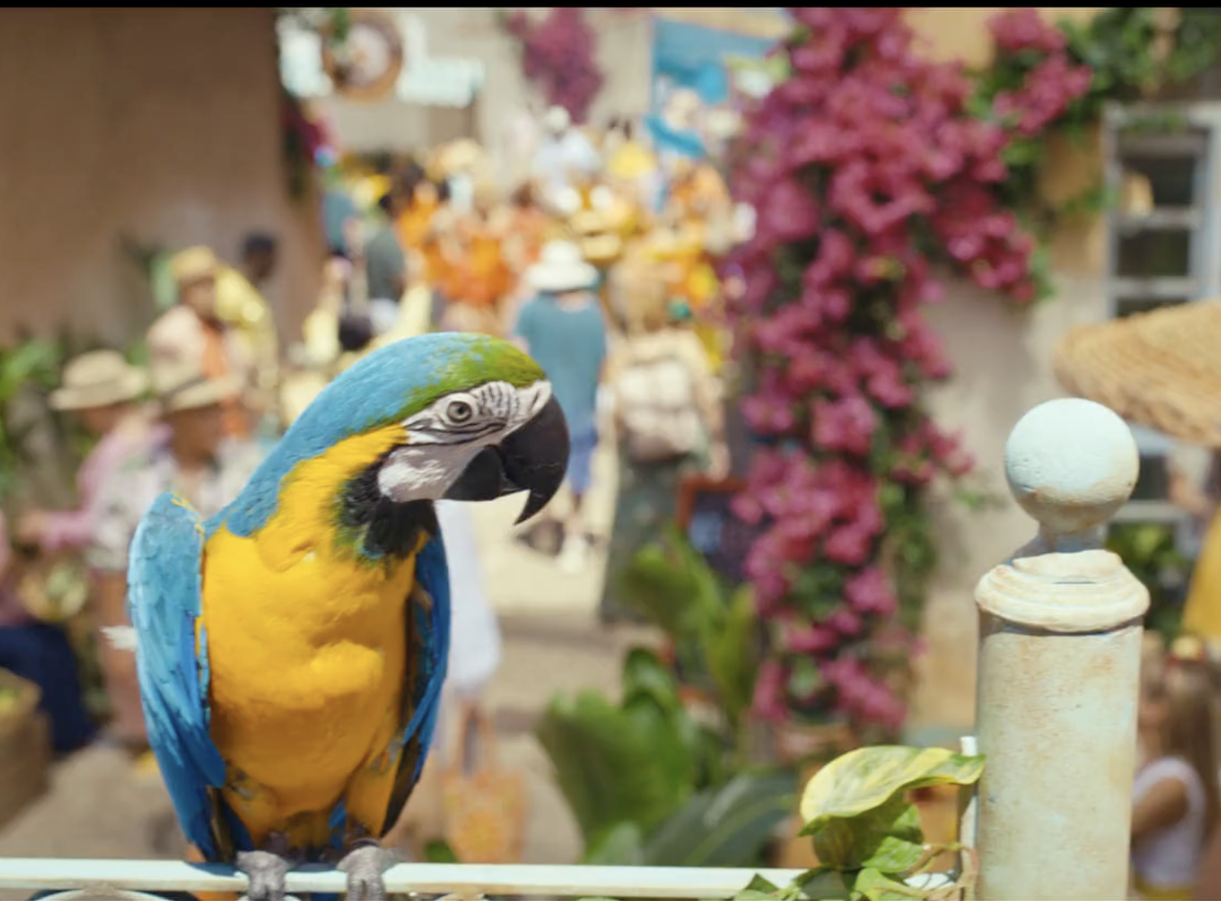 Screenshot 2026-01-29 at 1.34.07 PM.png