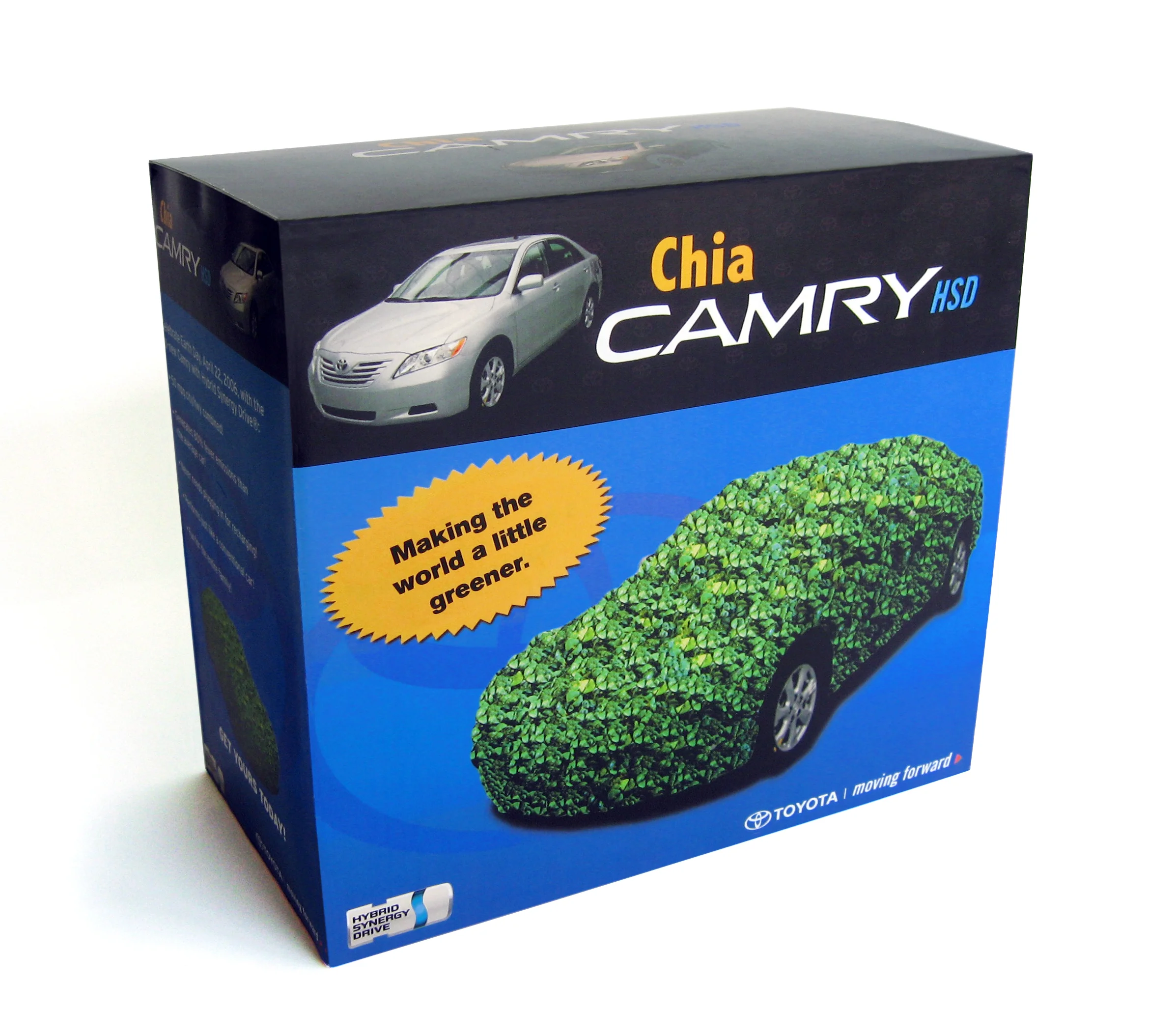 4 Chia Camry.jpg
