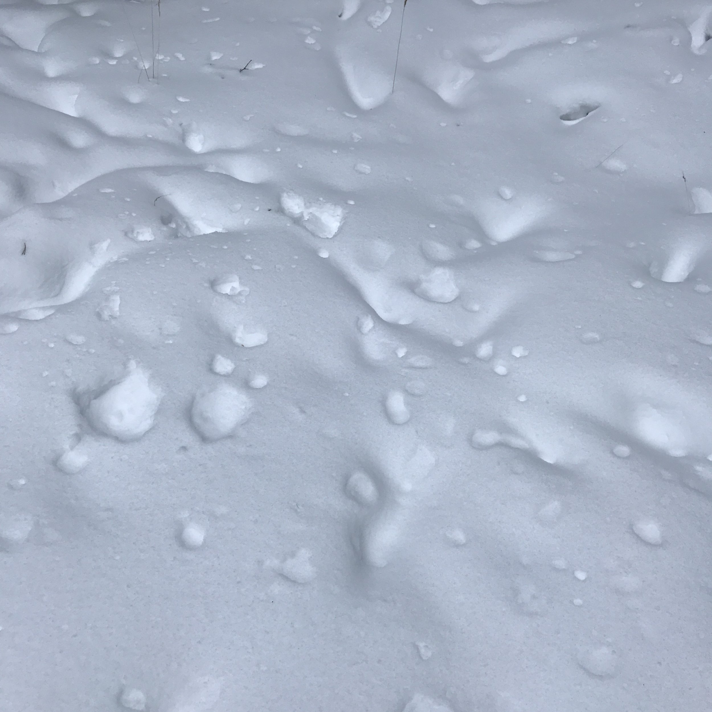 snow mark making