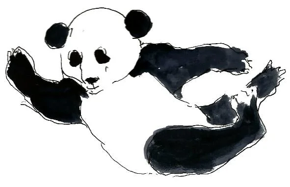 Panda brincando.jpg