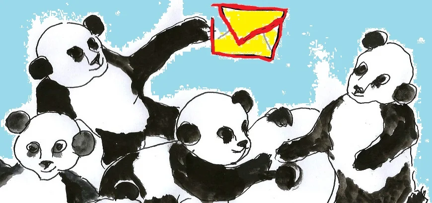 Pandas para Newsletter.jpg