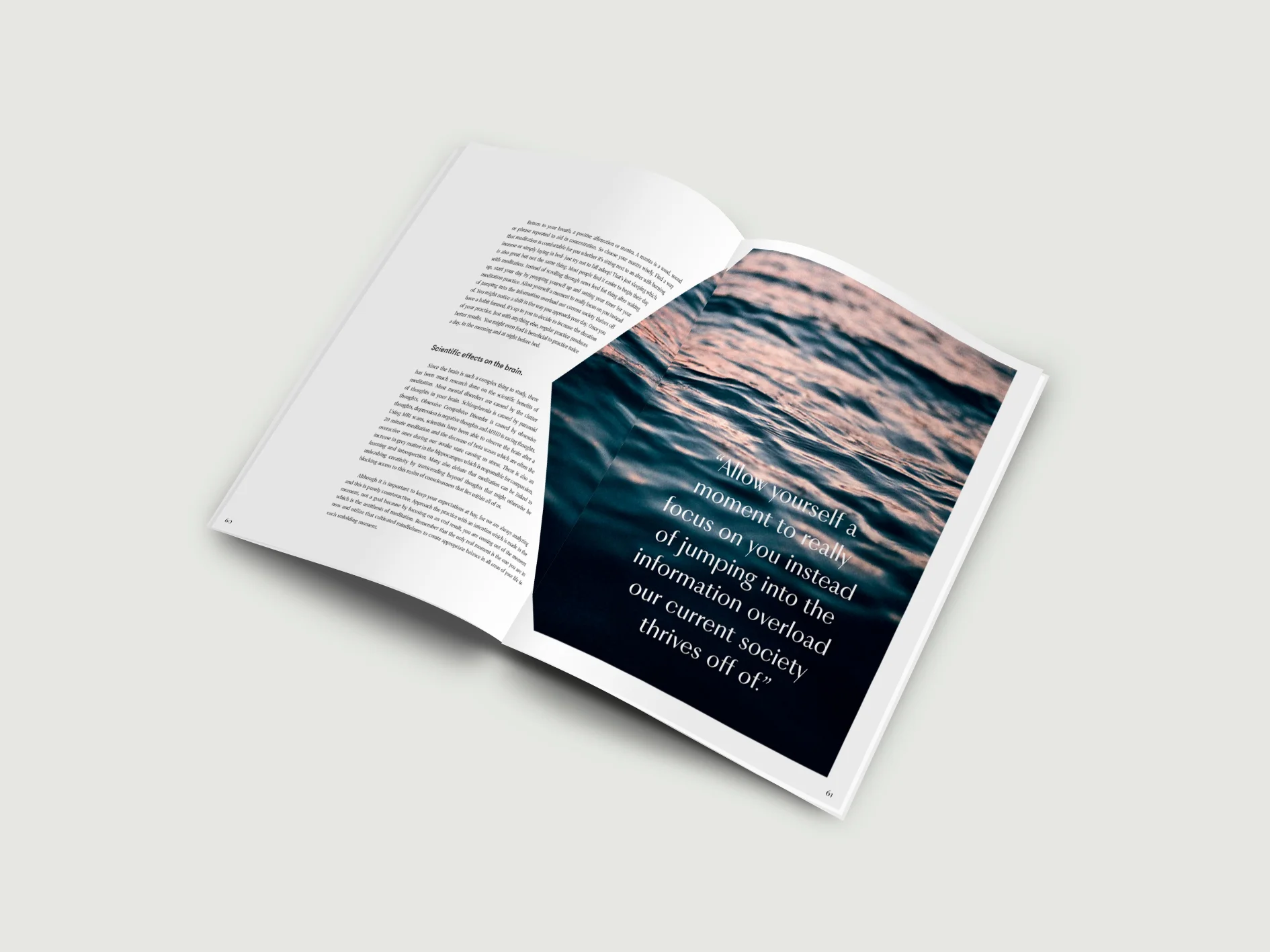 spread(pg2).jpg