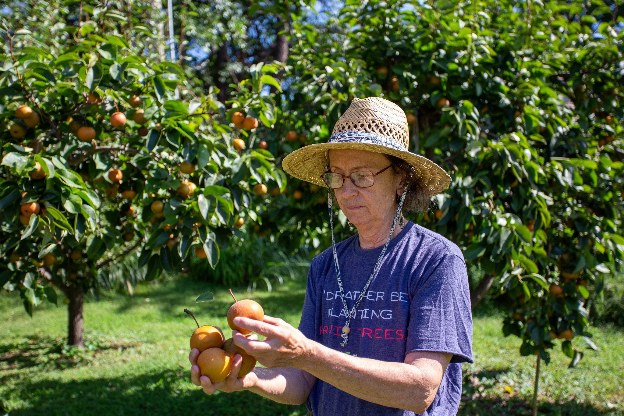    From Clay to Seed: How One Artist Grew a Garden of Fruit Trees   