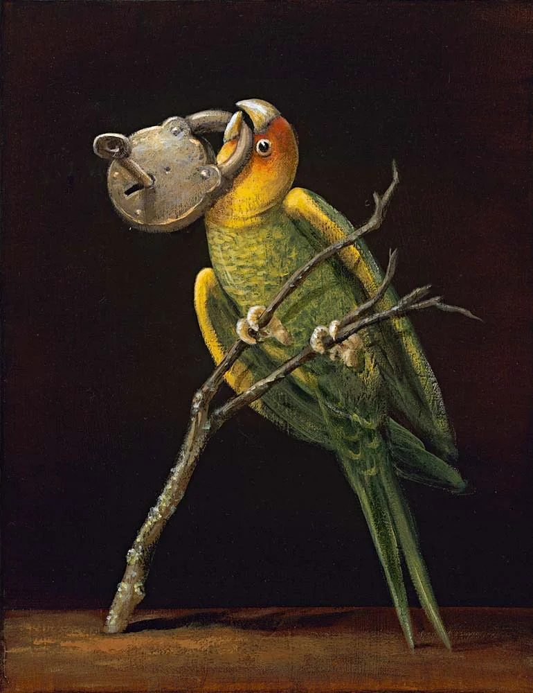 Birds of America: Carolina Parrot, 2011