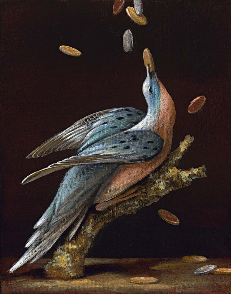 Birds of America: Passenger Pigeon, 2011