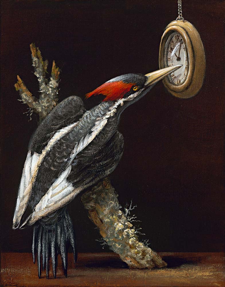 Birds of America: The Ivory Billed Woodpecker, 2011