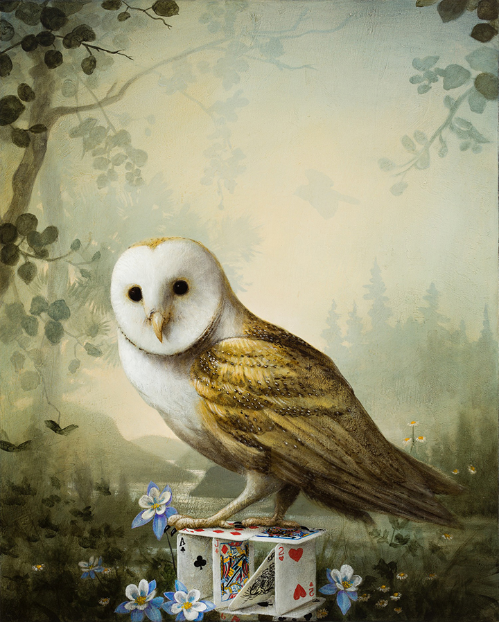 The Young Owl 