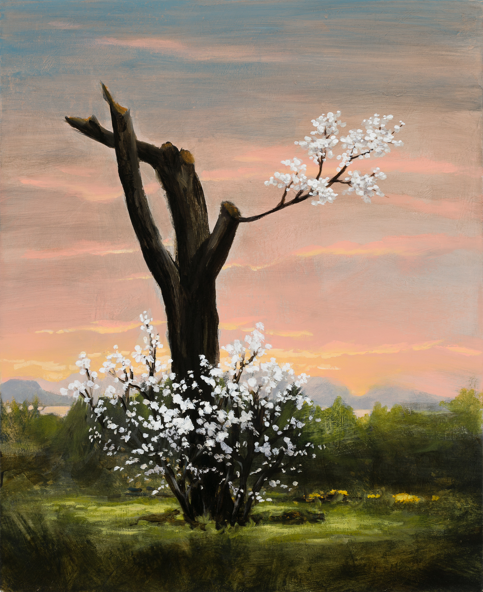 Robert's Apple Tree After the Storm, 24"x20"
