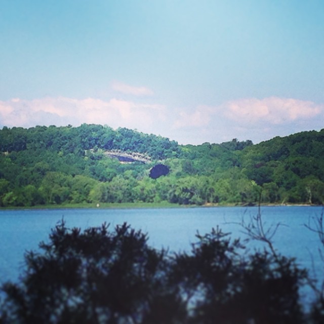 #iwonder what this huge dark tree is? Only one I can see on 10 miles of #HudsonValley waterfront.