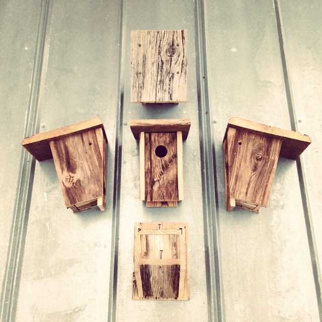 bird houses ready for the fair.
