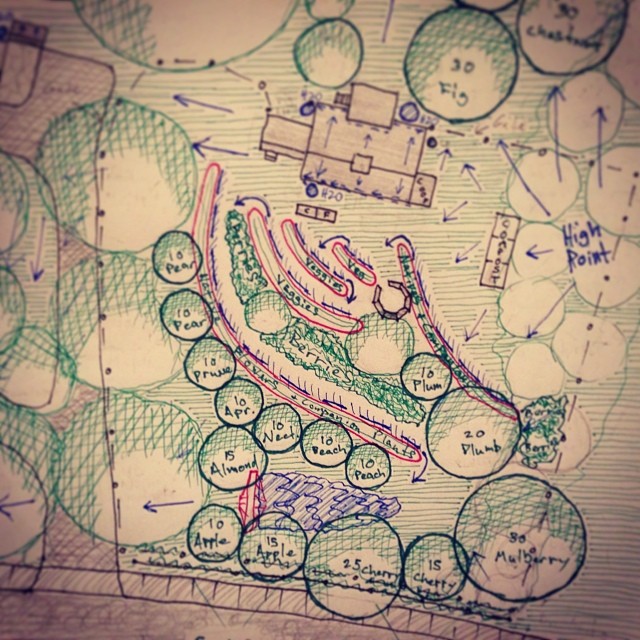 #foodforest workshop at #thebarnintivoli November 2013