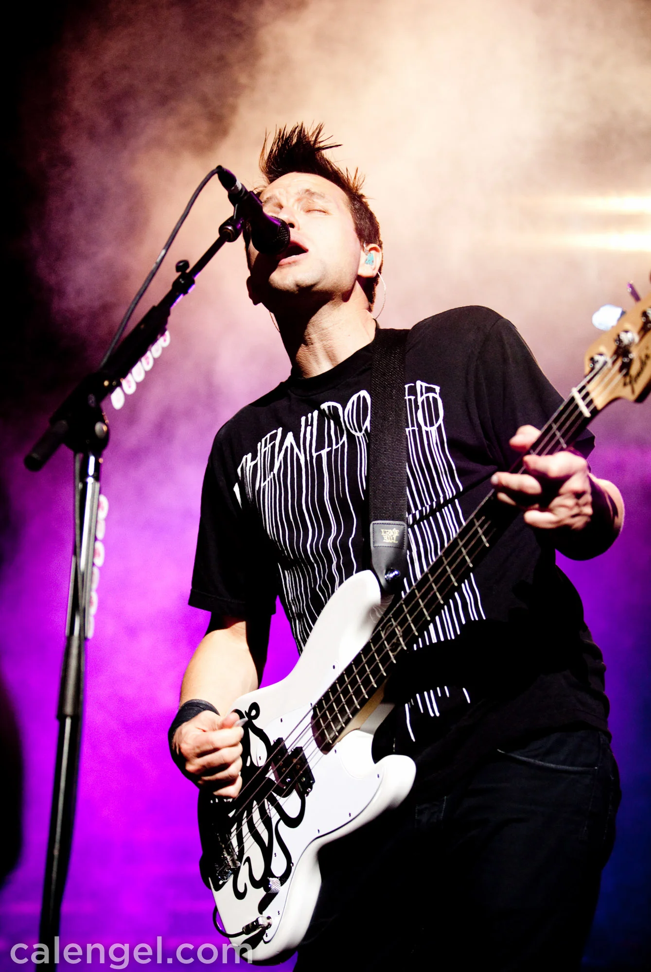 Blink2009-08-15_23.jpg