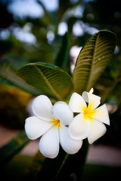 Barbados_044.jpg