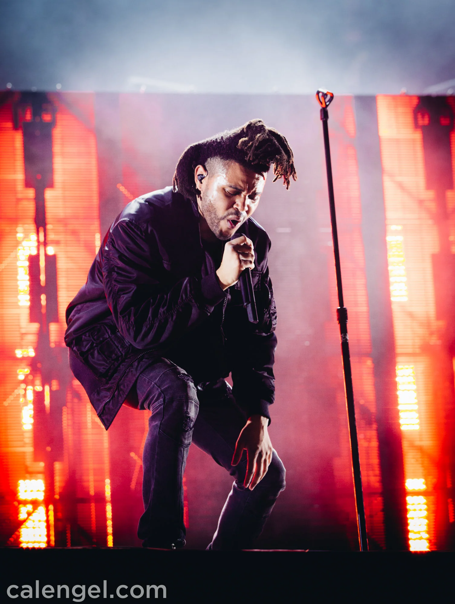 TheWeeknd2015-07-31_0303.jpg