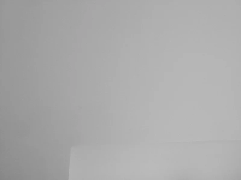 shadowplay002.jpg
