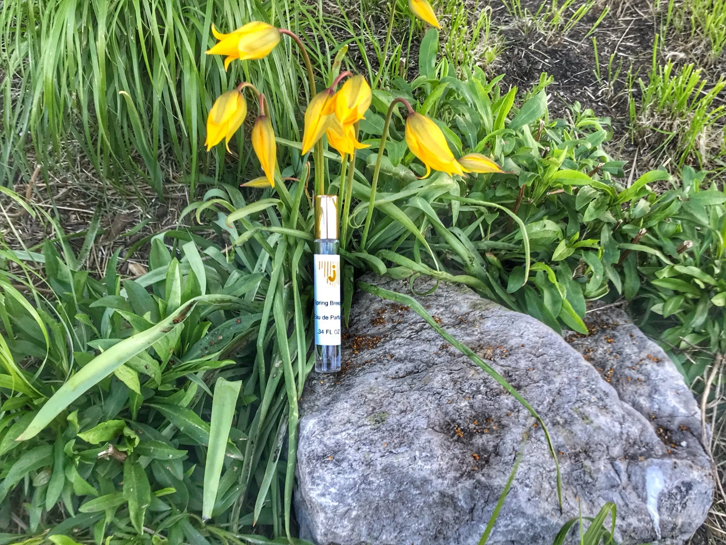 1AB28FD0-7307-439C-8822-4A65D535FBF8