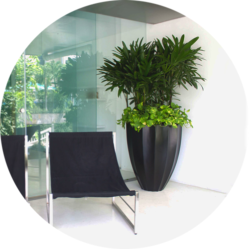 Tall Planters