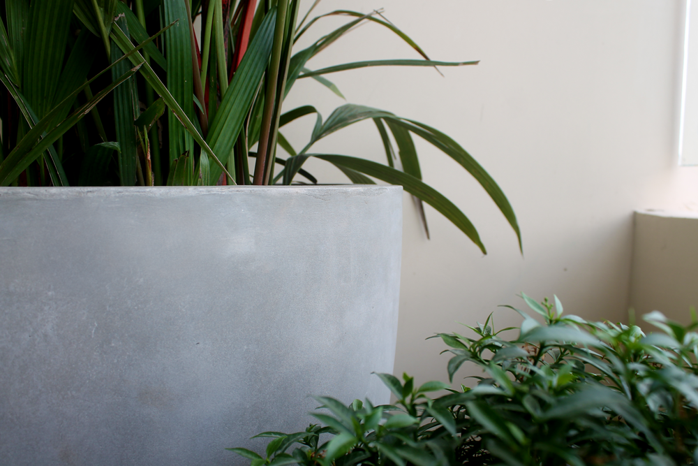 Grey-Cement-Planter.png