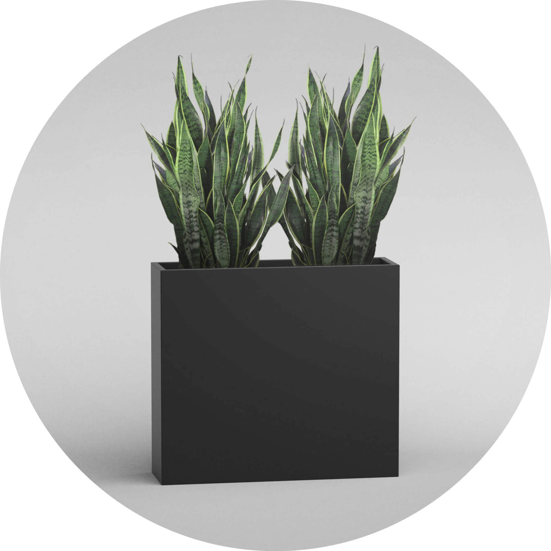Commercial Planters