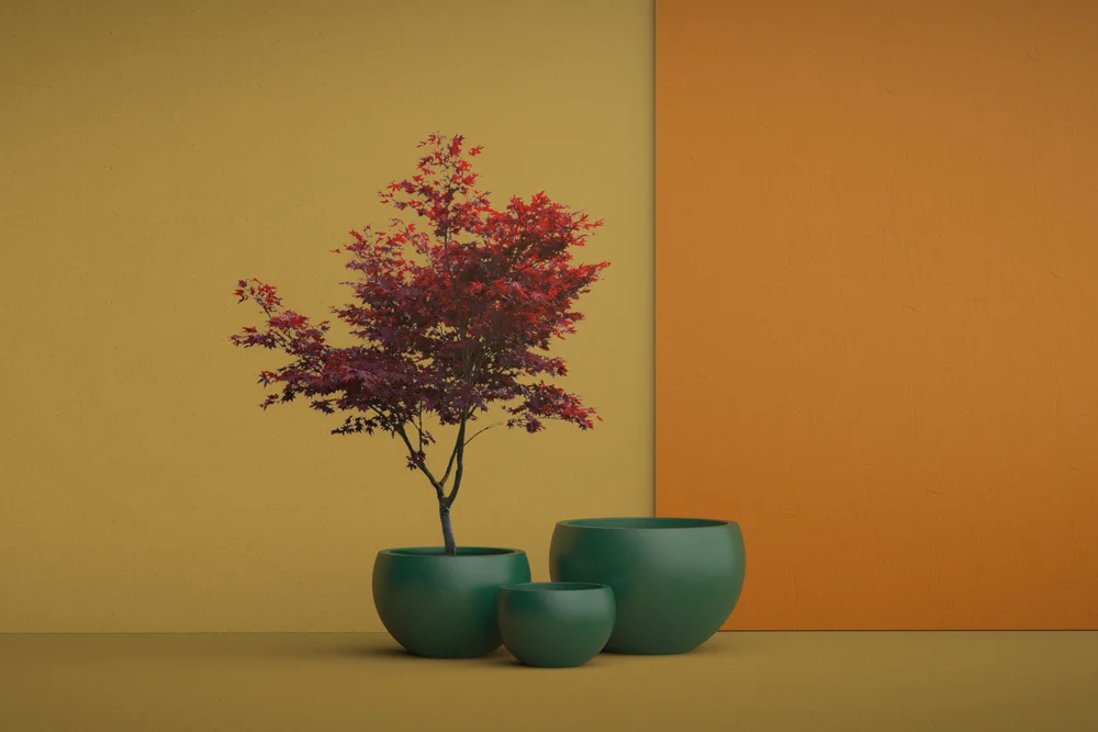 Indoor Commercial Planters