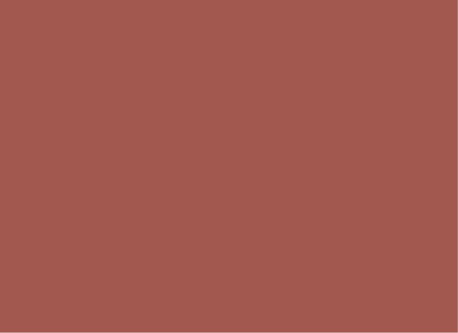 RB-01-05 NATURAL ROOIBOS TEA