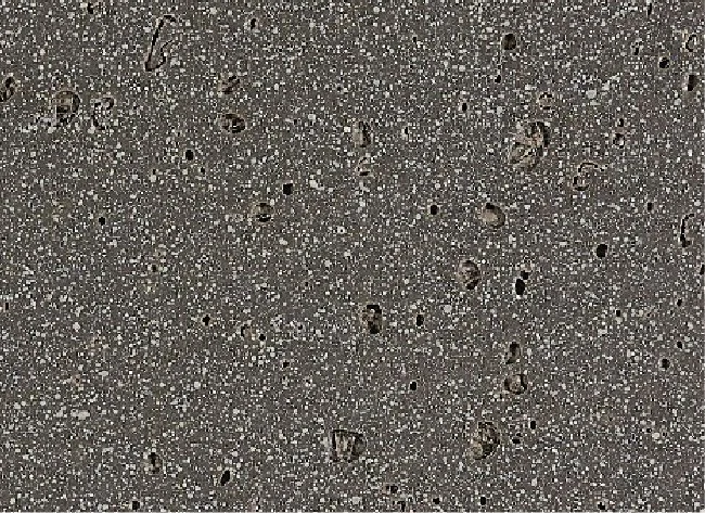 TX-19-05 URBAN MOON MIST