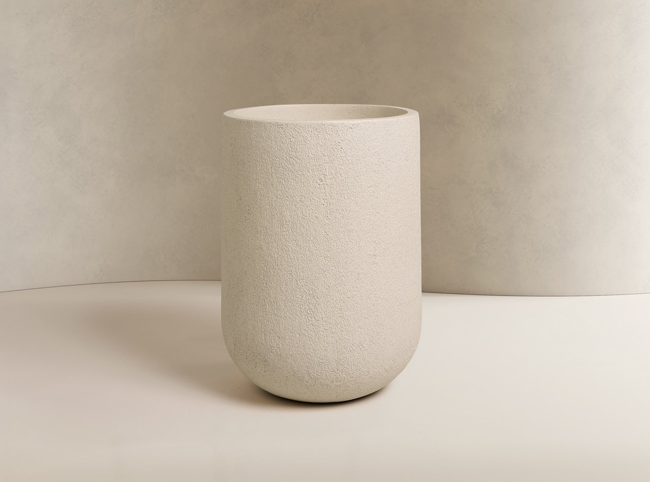 Rough Cast White Asparagus