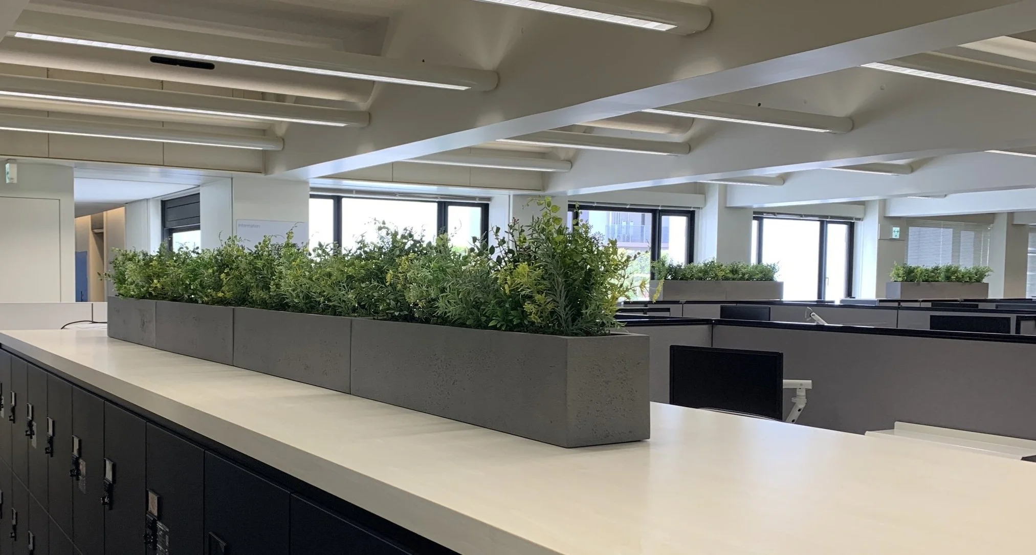 Manufacturer of Large Modern Fiberglass Planters & Containers