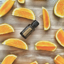wildorange.png