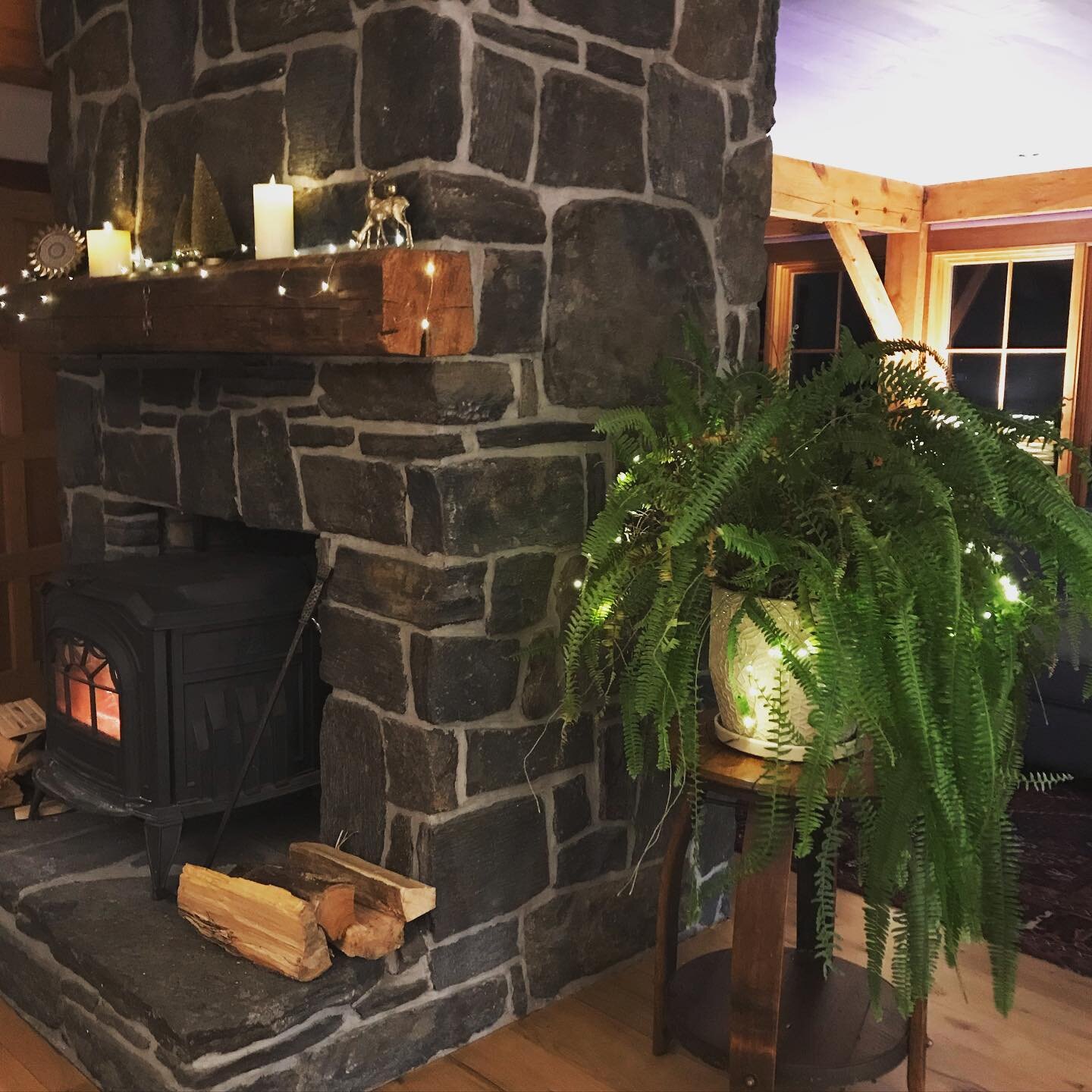 The Christmas tree had become a fire hazard but none of us were ready to let go of the glow. Enter the Christmas fern. Im loving it on these dark afternoons. #homebodyandsoul #homebody #fortheloveofhome #intheflow #homedesignideas