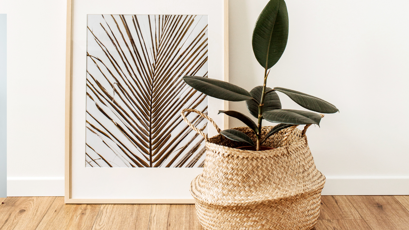 Copy of Untitled (2).png