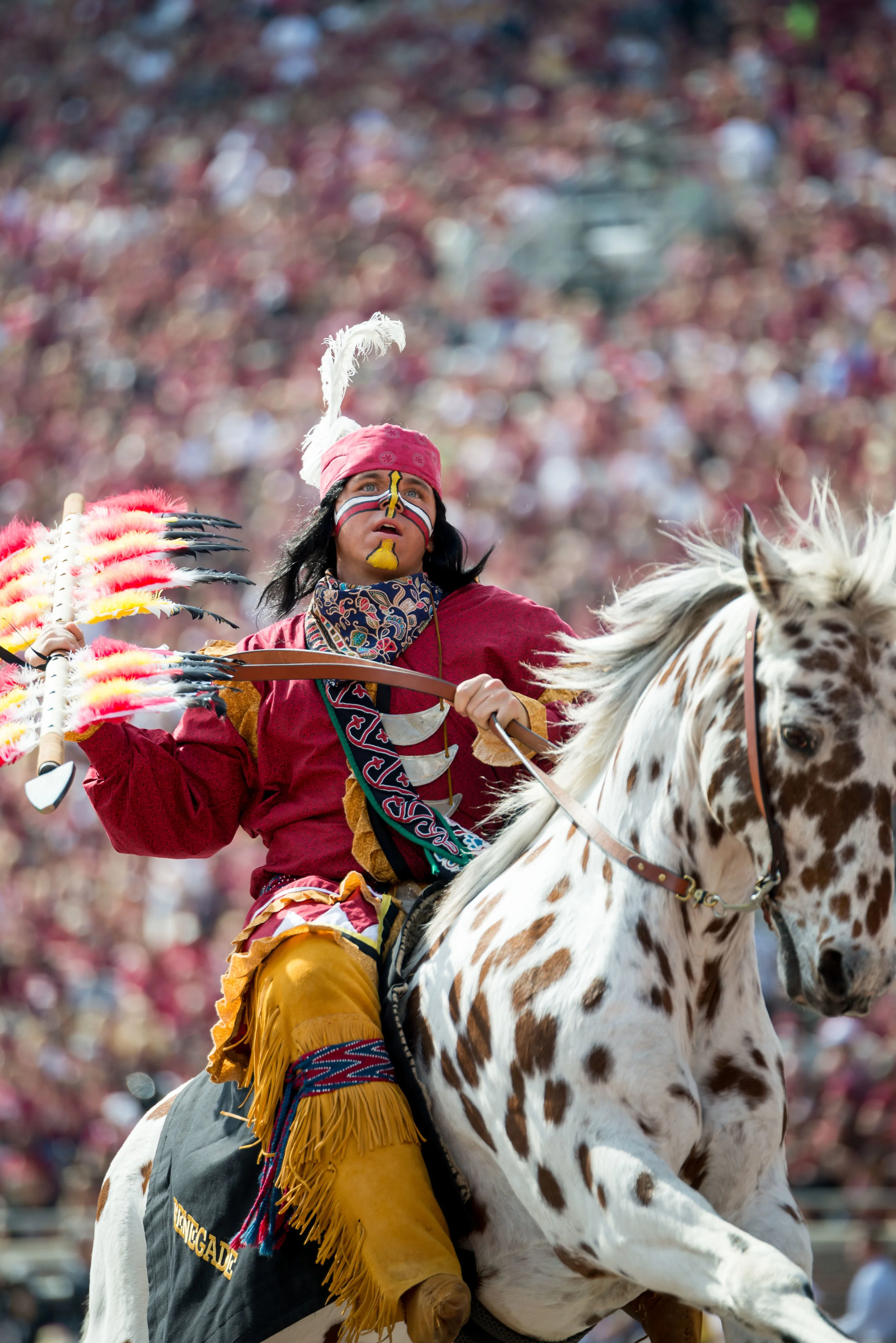 FSUFOOTBALL2015-10-31pic0170.jpg