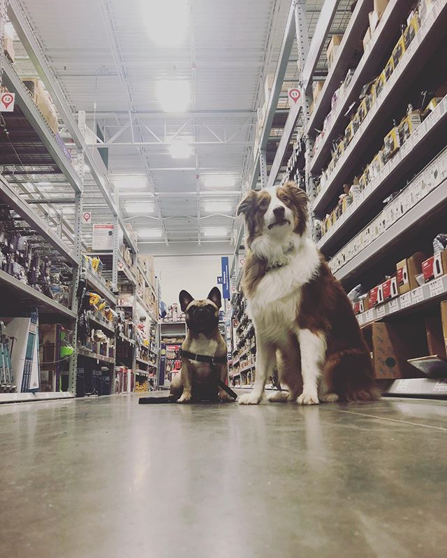 Happy National Dog Day!