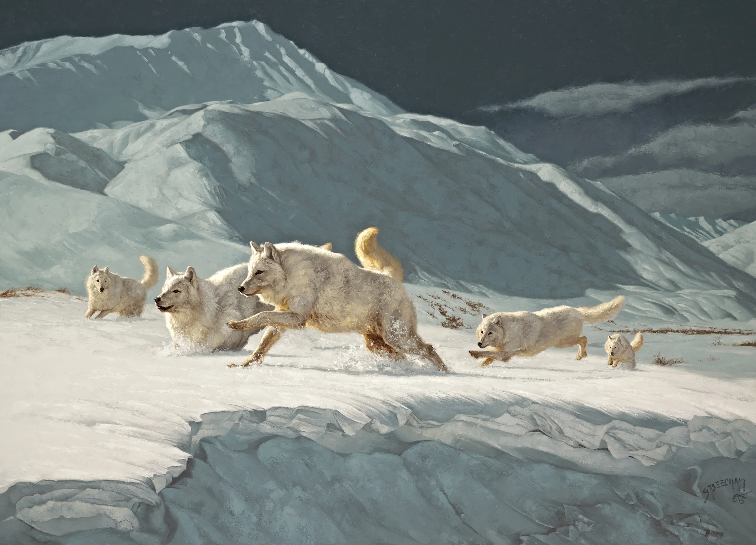 Arctic Wonderland