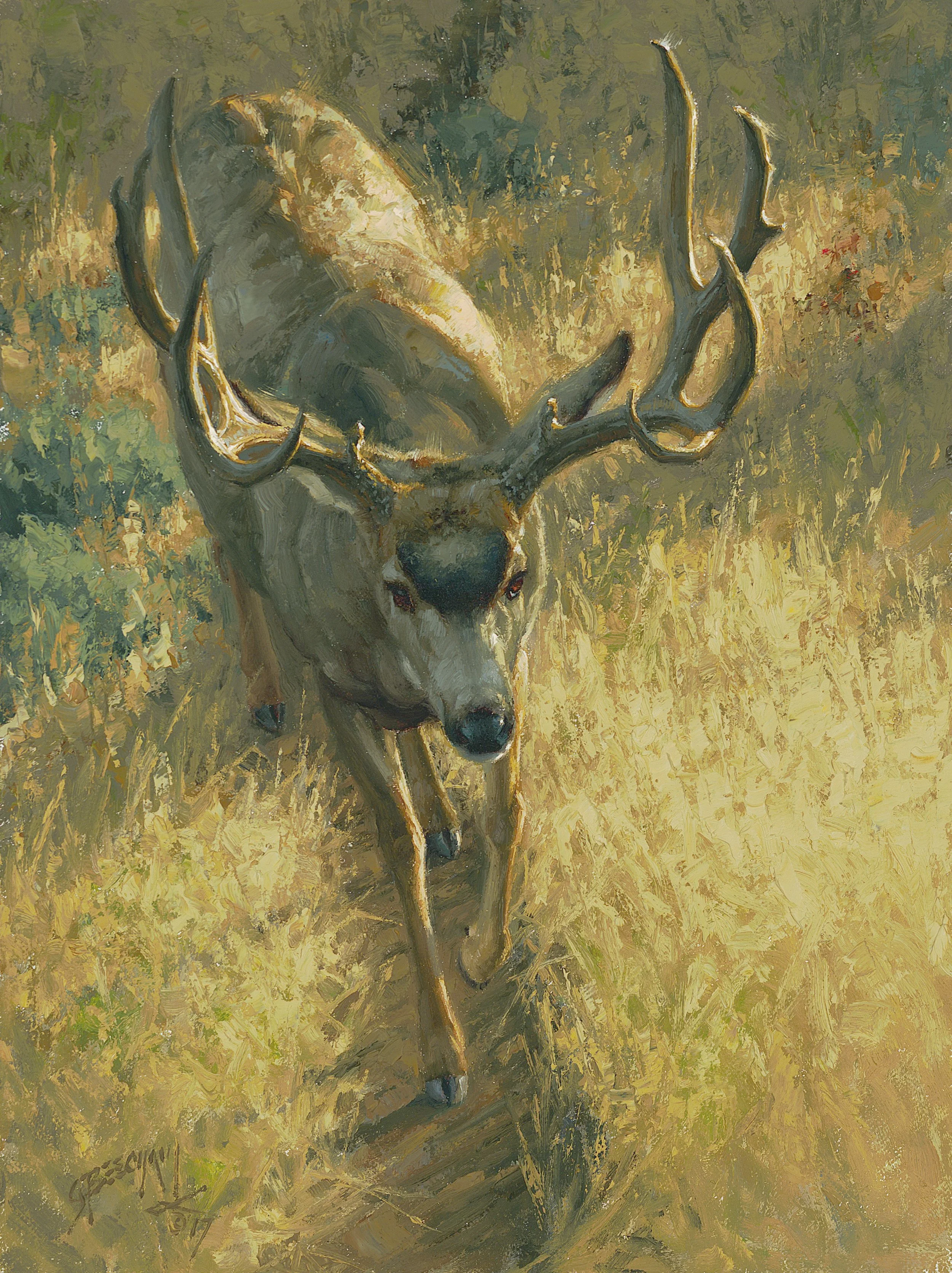 Game Trail