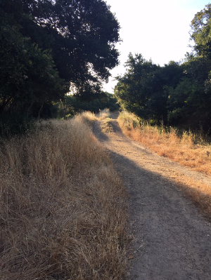 Where is your road leading you?