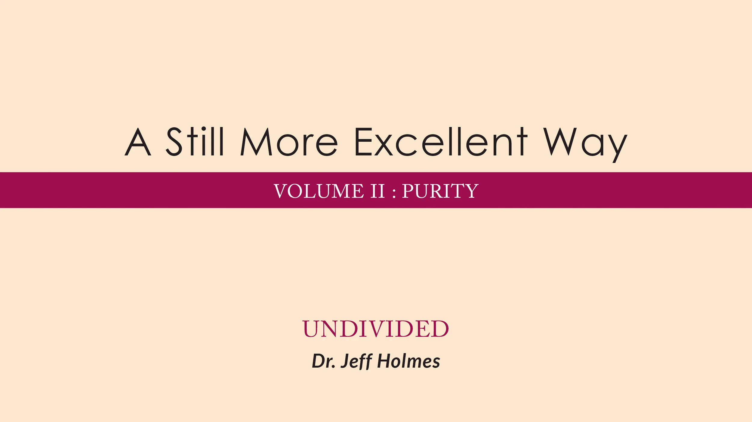 February 9 &amp; 10, 2019 | A Still More Excellent Way: Undivided 