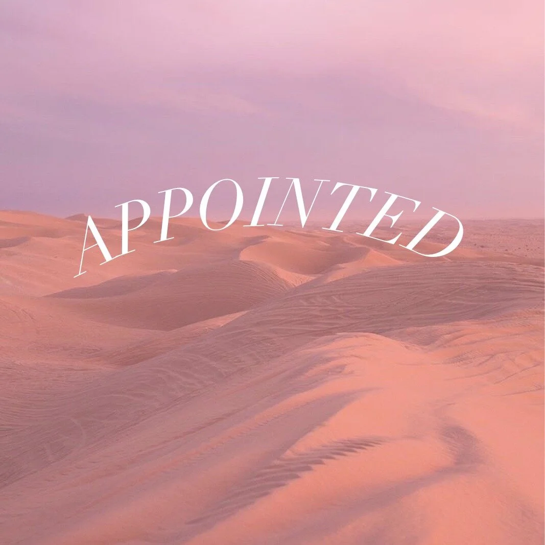 September 12 &amp; 13, 2020 | Appointed 