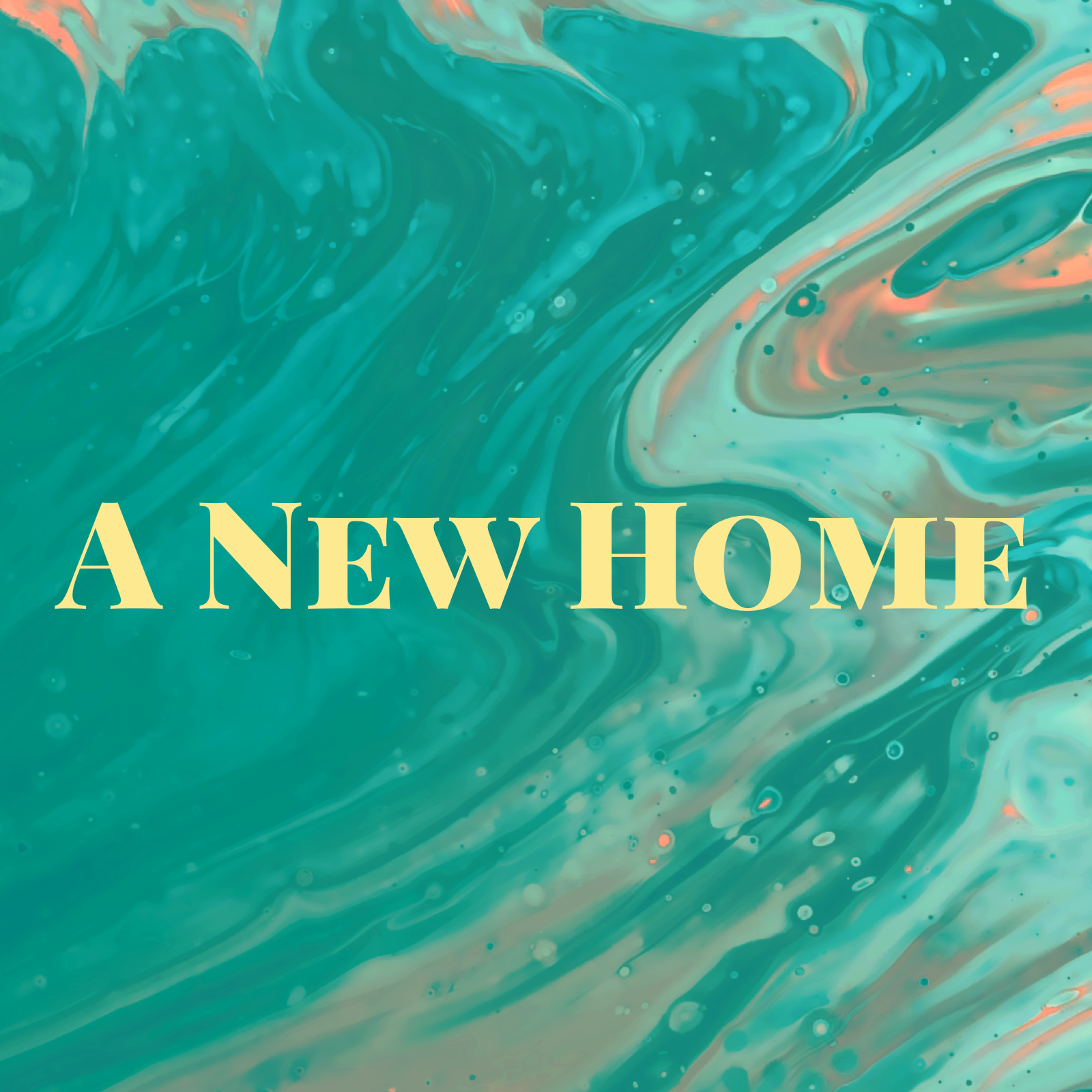 December 13, 2020 | A New Home 