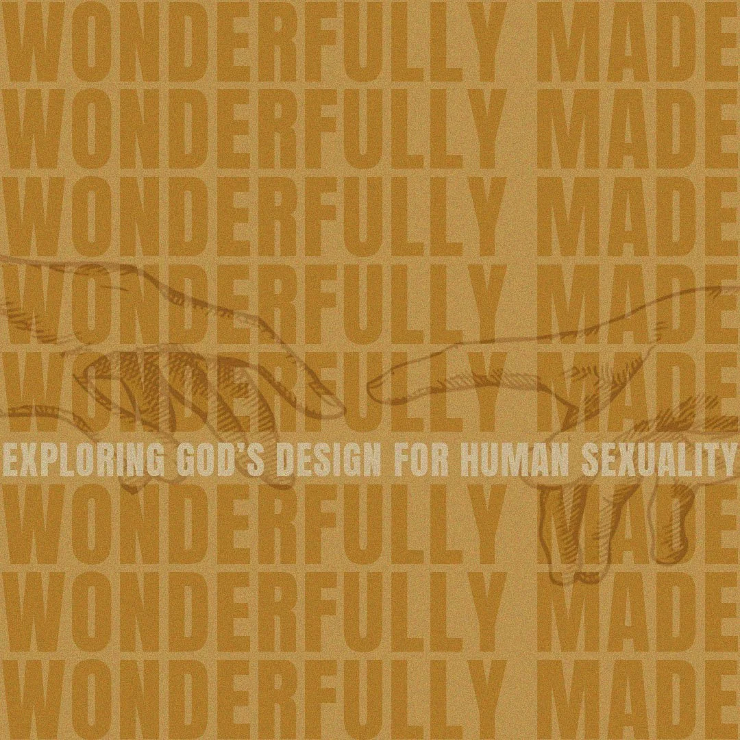 January 19, 2025 | Wonderfully Made: Living Pure in a Polluted World episode artwork