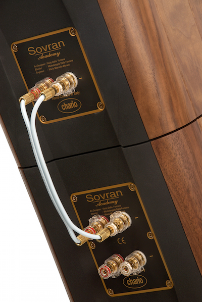 Sovran rear panels with jumpers. Jumpers connect the top module with bass module. Sorbothane - type feet support two modules' physical connection. The speaker is similar in construction topology to two of my favourite speakers, Levy and Verity Audio.