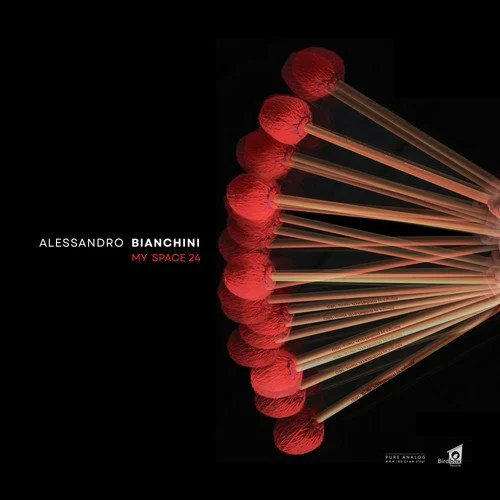 Alessandro Bianchini—My Space 24: Birdbox Records/All-Analog, Limited Edition Vinyl [2025]