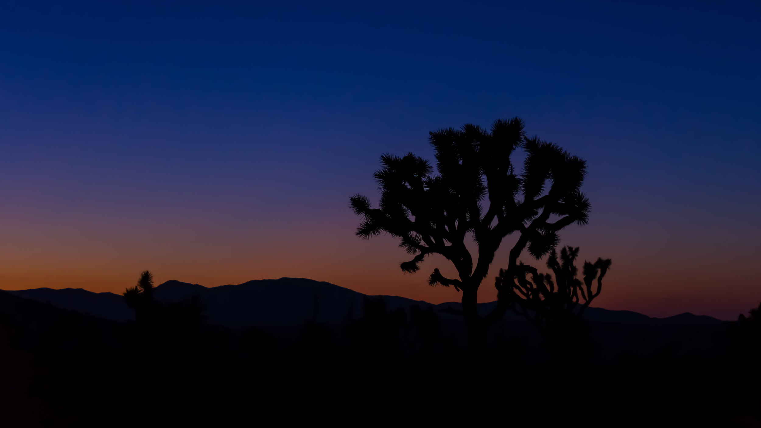 _DSC6499v2-2.jpg
