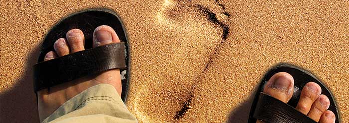 "What is a Disciple?"