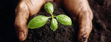 "Make Today Different"